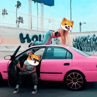Fun Money GIF by Baby Doge Coin