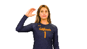 Uc Berkeley Volleyball Sticker by Cal Athletics