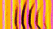 Glitch GIF by Myrto Amorgianou - Ruins Digitales
