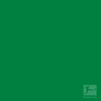 borussia monchengladbach dancing GIF by Bundesliga