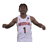 Arizona Wildcats Sticker by Arizona Men's Basketball