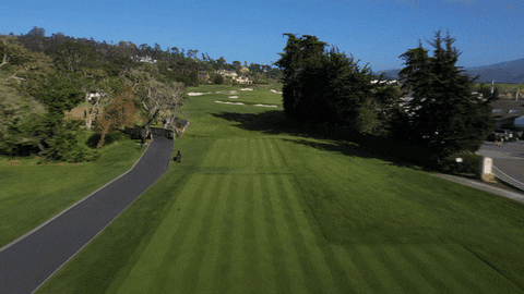 Co13man giphyupload GIF