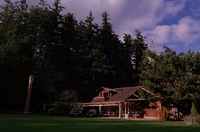 season 1 GIF by Twin Peaks on Showtime