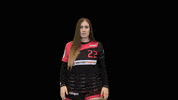 dhcplzen  GIF