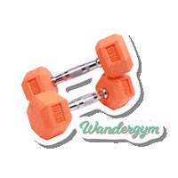 wandergym workout gym exercise lifestyle Sticker