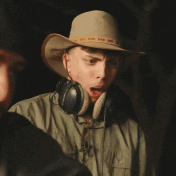 Afrique Du Sud Twitch GIF