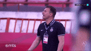 Partizan GIF by sportmts