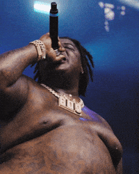 Lollapalooza Singing GIF by Respective