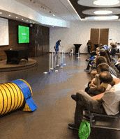 annenbergpetspace dog adoption dog ice cream wallis annenberg petspace dr jj GIF