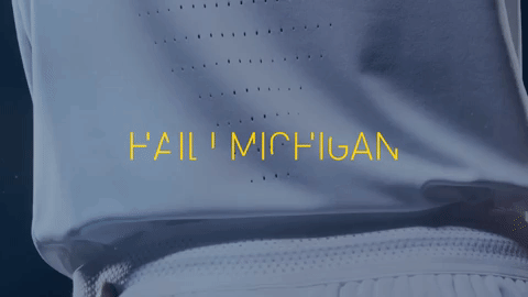GIF by Michigan Athletics