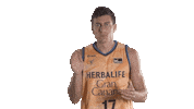 Vamos Liga Endesa Sticker by ACB