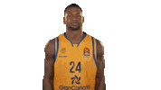 gran canaria basketball Sticker by EuroLeague