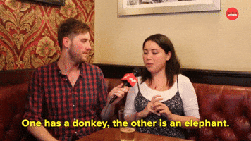 One Has A Donkey 