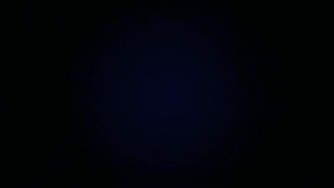 Text gif. Sparkly bokeh lights appear in magentas and reds and the text reads, "Happy Anniversary."