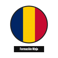 Flag Bandera Sticker by Formación Ninja