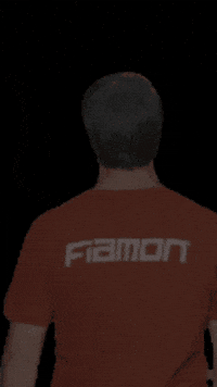 GIF by Fiamon