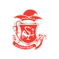 Carnaval Sticker by Kraonige Zwaone