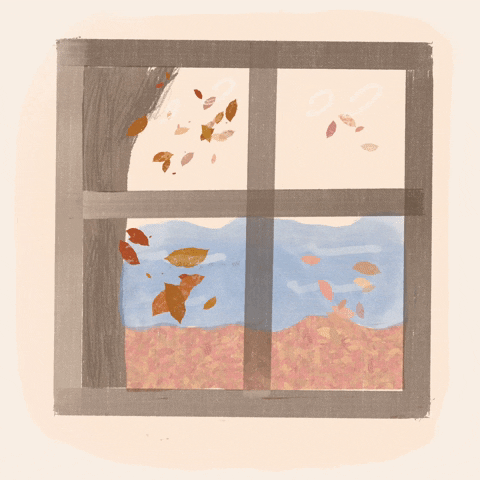 Fall Leafs GIF
