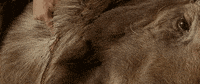 into the wild art GIF by Patakk