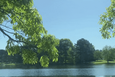 Love You Have A Good Day GIF by Queen Nandi