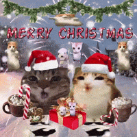 Merry Christmas GIF by Respective
