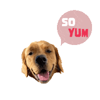Summer Happy Dog Sticker