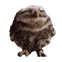 owl STICKER by imoji