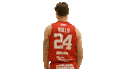 Basketball Player Sticker by Bisons