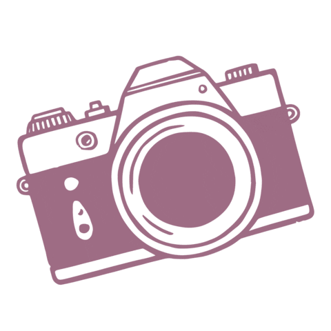 Camera Sticker by stoffundso