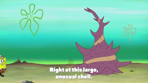season 9 lost in bikini bottom GIF by SpongeBob SquarePants