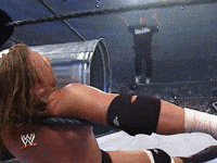 wwe sports wwe wrestling summerslam GIF