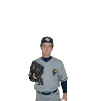 Clarke Baseball Sticker by Clarke University
