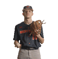 Wcsubaseball Sticker by WCSU