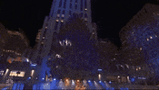 Christmas Tree GIF by NBC