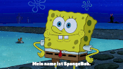 season 9 episode 21 GIF by SpongeBob SquarePants