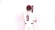 Baseball GIF by Lafayette Leopards