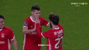 Sl Benfica Hug GIF by Sport Lisboa e Benfica
