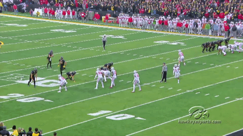 hawks GIF by University of Iowa Hawkeyes Athletics