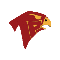 Falcons Sticker by TPLAX