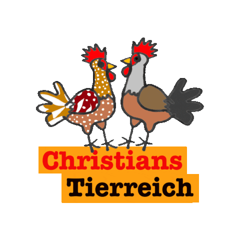 Christianshühner Sticker