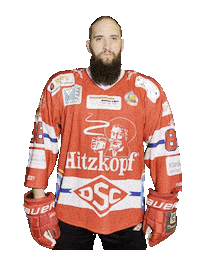 Hockey Sticker by dsc-eishockey