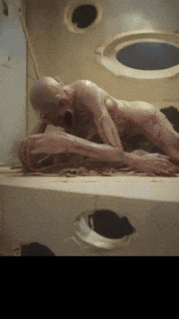 Video Game Wilson GIF by Komplex