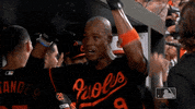 Major League Baseball Sport GIF by MLB