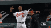 major league baseball sport GIF by MLB