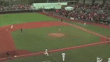 BeaverBaseball ncaa beavers oregon state GIF