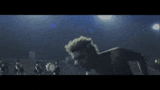 palaye_royale images lonely sebastian dig GIF