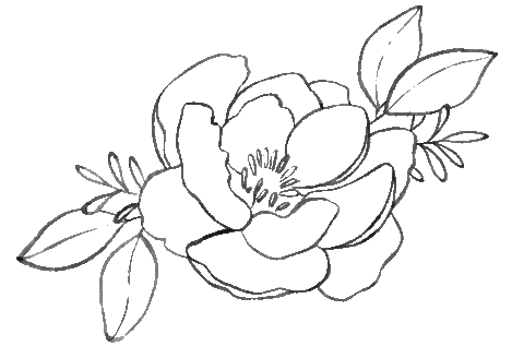 Spring Bloom Sticker