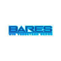 Siersleben Sticker by BARES