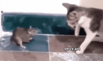 Cat Slap GIF by DevX Art