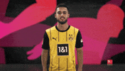 Borussia Dortmund Cheering GIF by Bundesliga